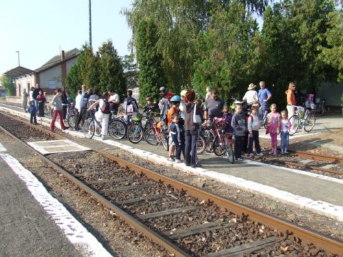 Tekintse meg galériánkat! (1/39)